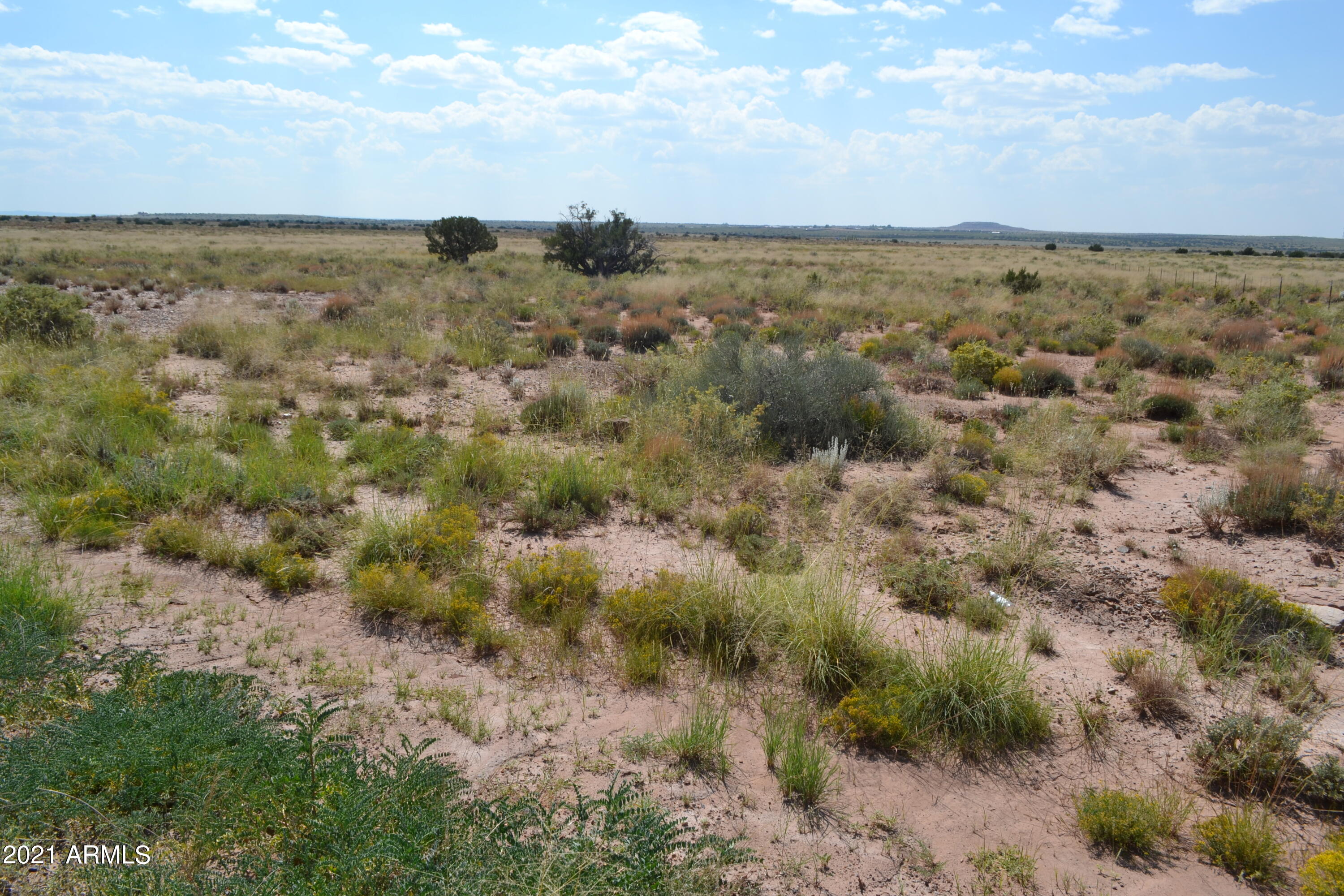 564 Old Woodruff Road, Unit 564 Snowflake, AZ 85937 - Photo 6 of 8 Old Woodruff 006