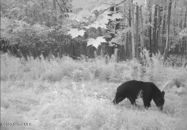 $234,000 | 110 Stone Road, Malone, NY 12953