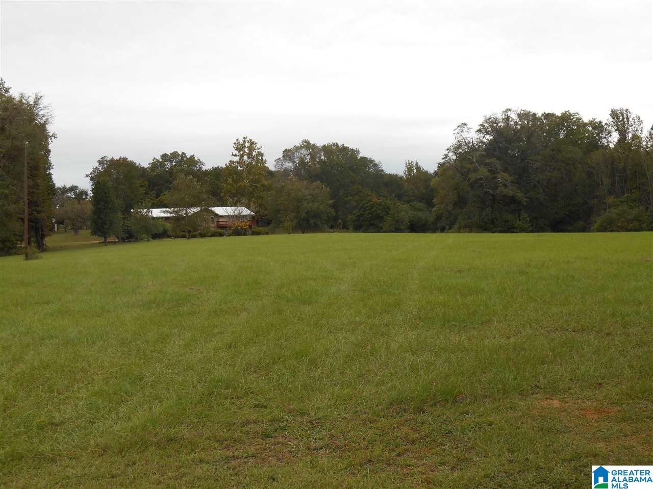 1323 Farmingdale Road Harpersville, AL 35078 - Photo 42 of 42