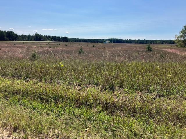 47.3 Summit City Road Interlochen, MI 49643 - Photo 7 of 10