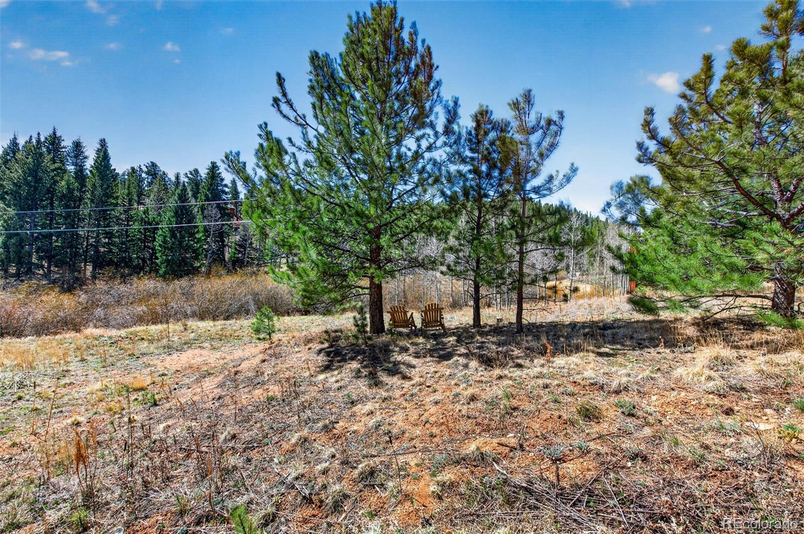 1328 Clark Road Bailey, CO 80421 - Photo 33 of 48 a backyard of a house with lots of green space