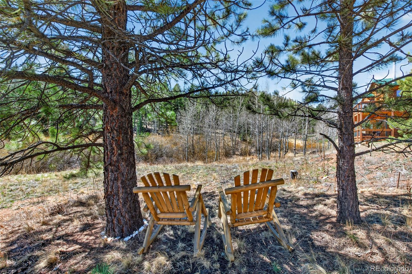 1328 Clark Road Bailey, CO 80421 - Photo 34 of 48 a view of a chairs and table in the backyard