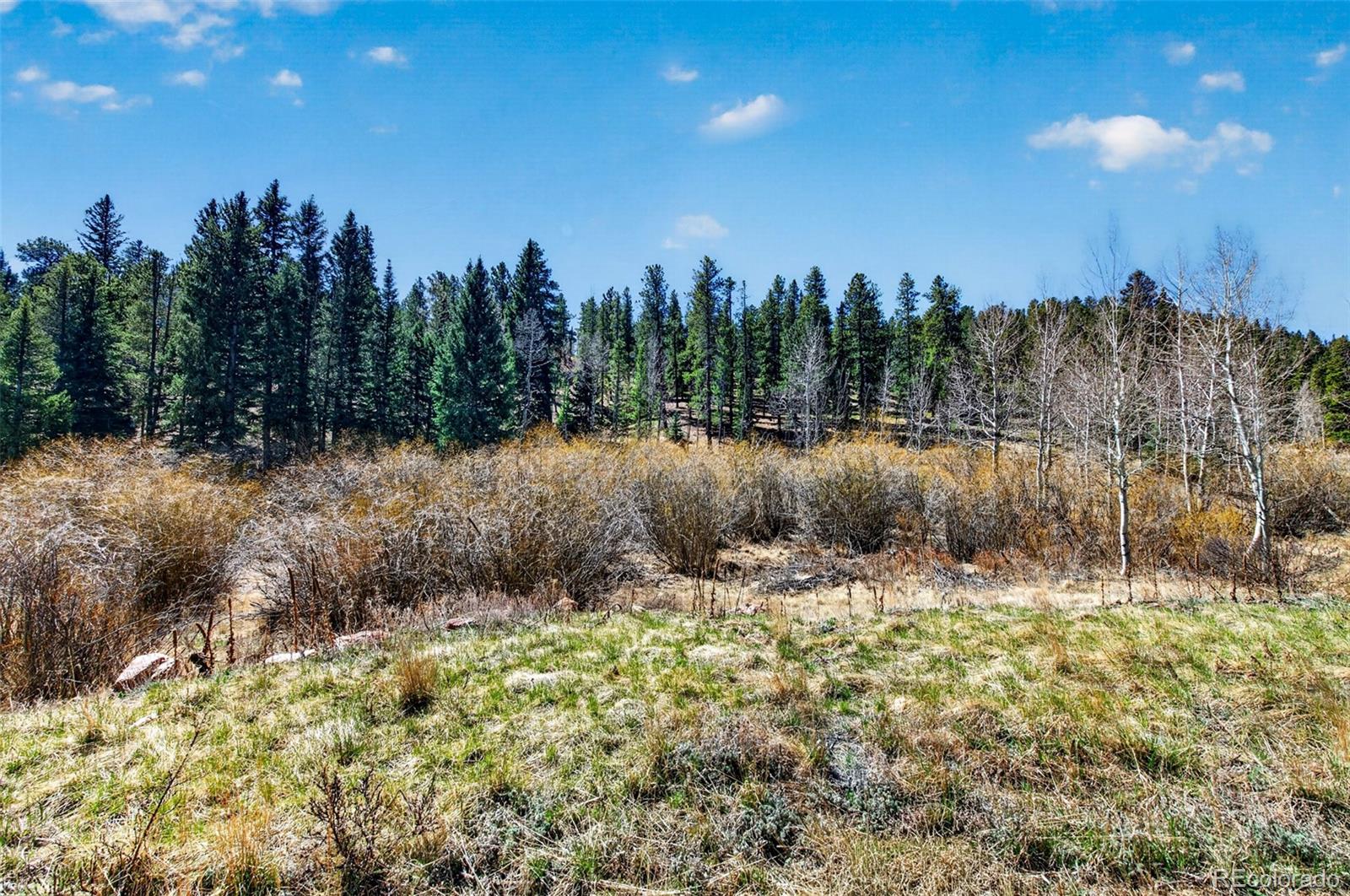 1328 Clark Road Bailey, CO 80421 - Photo 35 of 48 a view of a lake with a yard