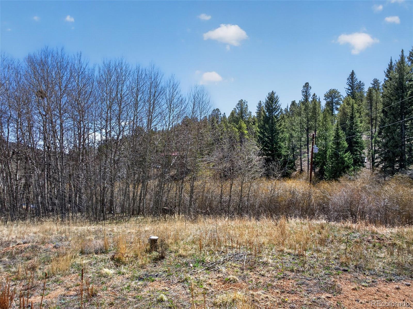 1328 Clark Road Bailey, CO 80421 - Photo 36 of 48 a view of a lake view