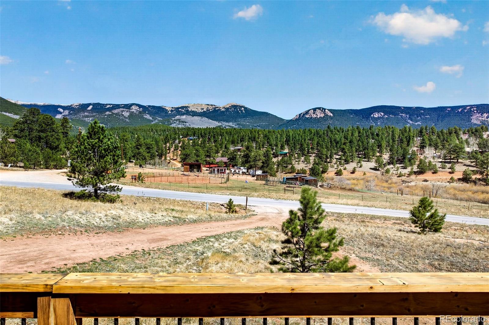 1328 Clark Road Bailey, CO 80421 - Photo 5 of 48 a view of a yard