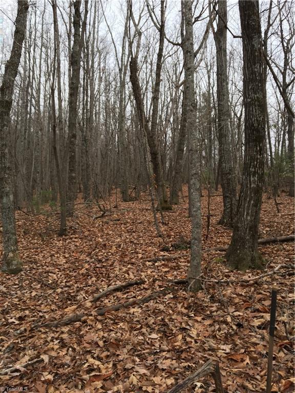 0 Old Mill Road Lowgap, NC 27024 - Photo 13 of 21