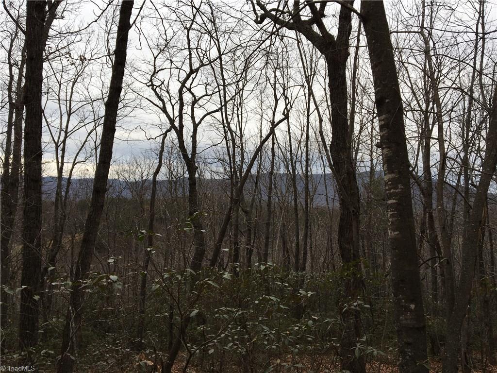 0 Old Mill Road Lowgap, NC 27024 - Photo 14 of 21 Mountain Views from just halfway up into tract!!!