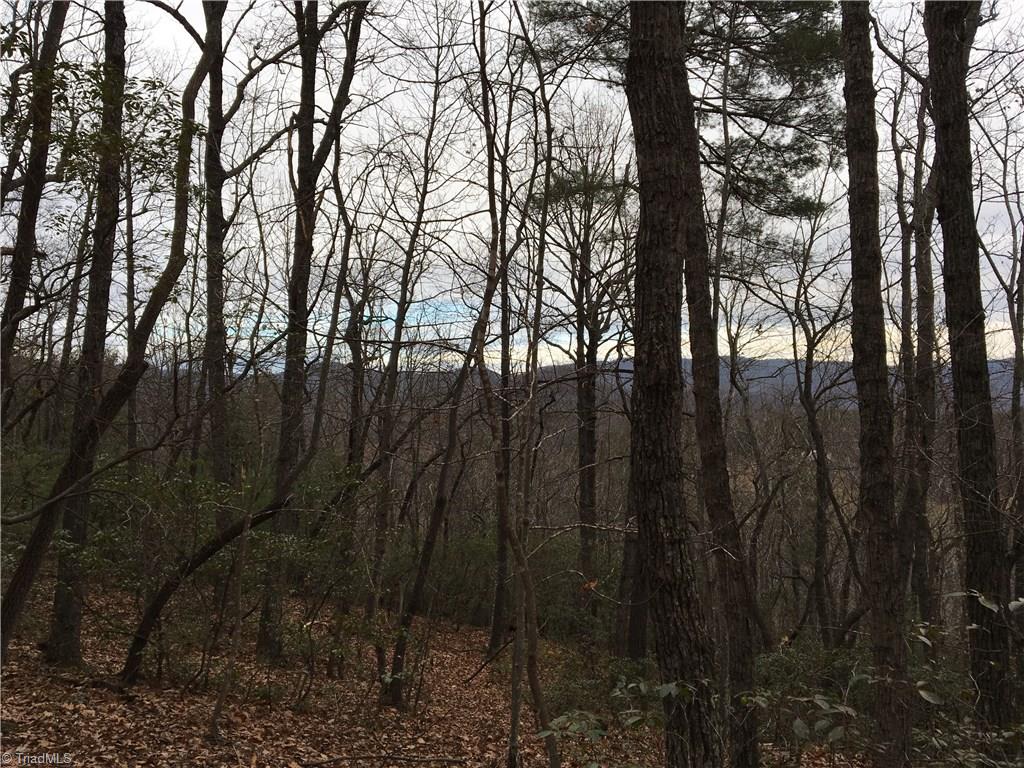 0 Old Mill Road Lowgap, NC 27024 - Photo 15 of 21