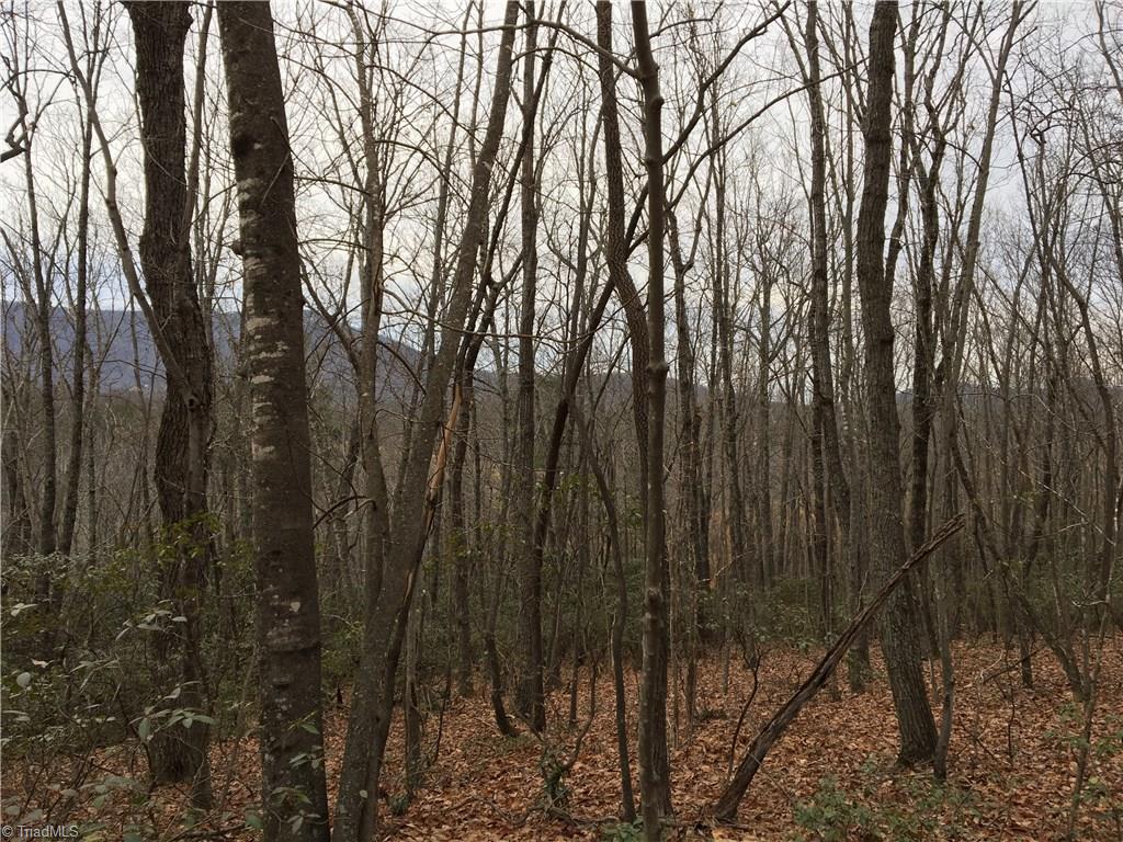0 Old Mill Road Lowgap, NC 27024 - Photo 16 of 21