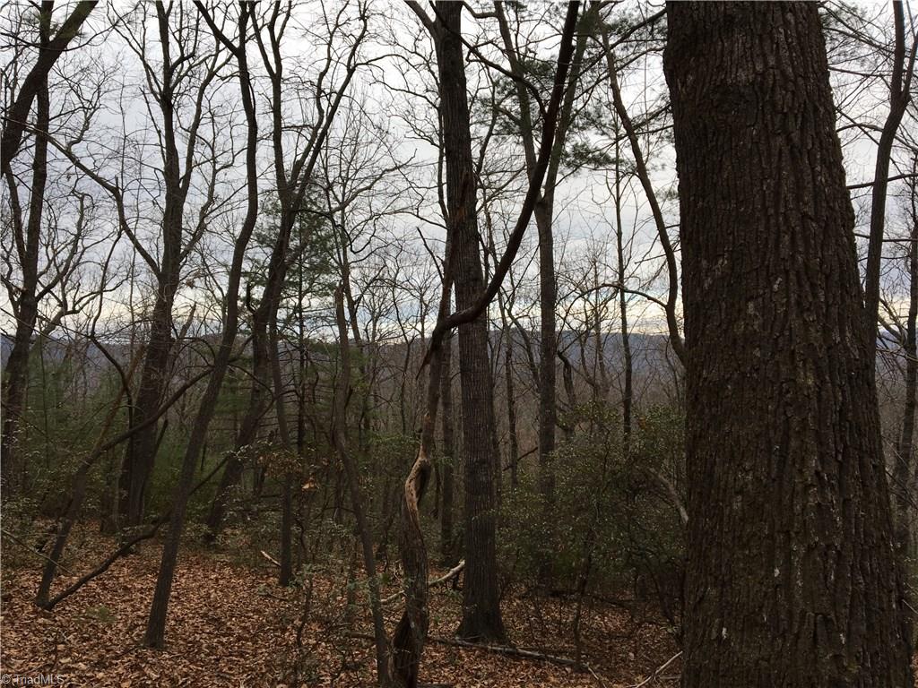 0 Old Mill Road Lowgap, NC 27024 - Photo 18 of 21