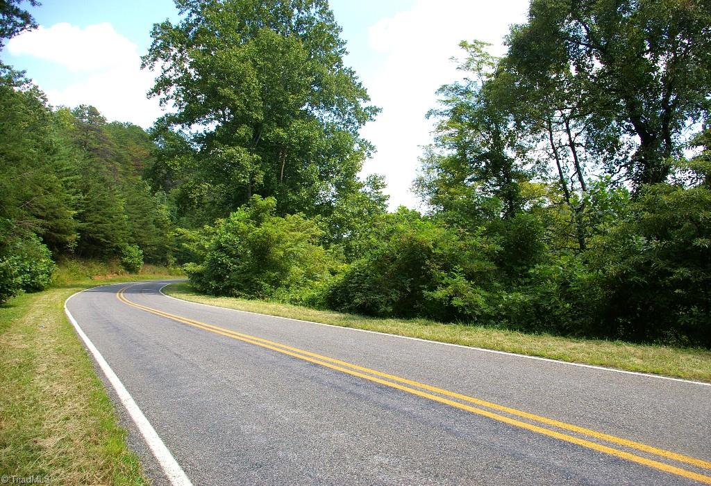 0 Old Mill Road Lowgap, NC 27024 - Photo 19 of 21