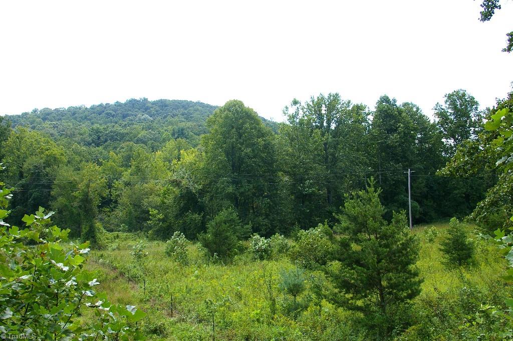 0 Old Mill Road Lowgap, NC 27024 - Photo 20 of 21