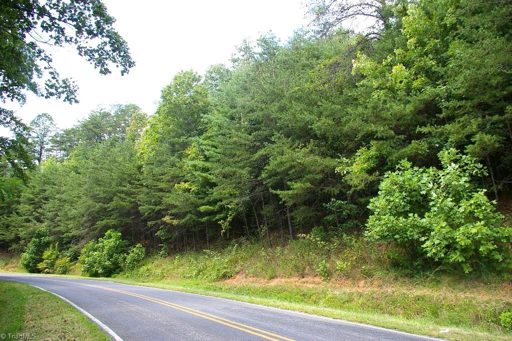 0 Old Mill Road Lowgap, NC 27024 - Photo 21 of 21