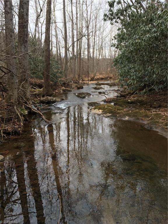 0 Old Mill Road Lowgap, NC 27024 - Photo 4 of 21 Creek!!!!