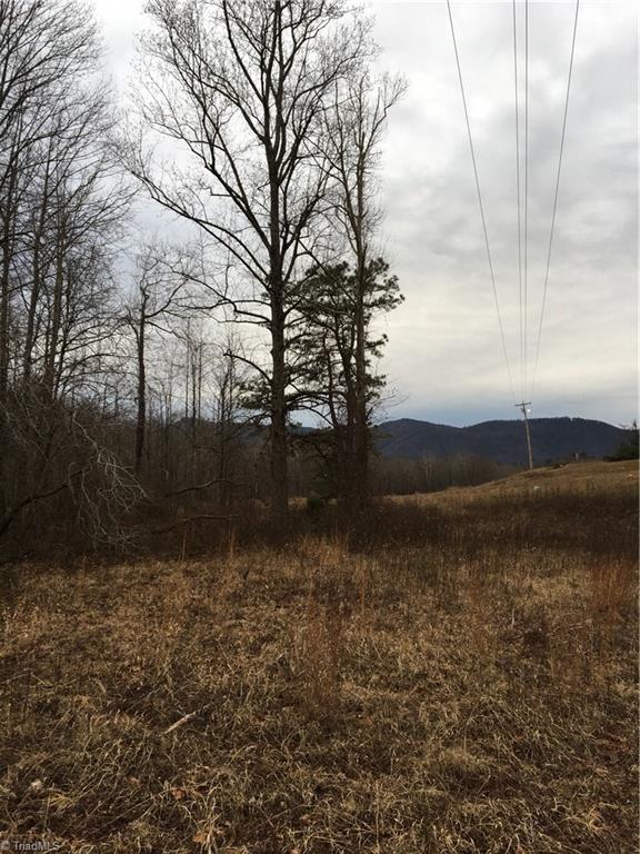 0 Old Mill Road Lowgap, NC 27024 - Photo 8 of 21 Mountain Views from bottom land!!!