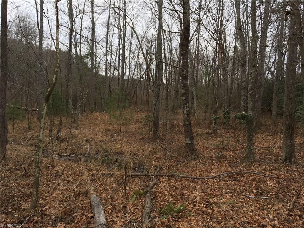 0 Old Mill Road Lowgap, NC 27024 - Photo 10 of 21