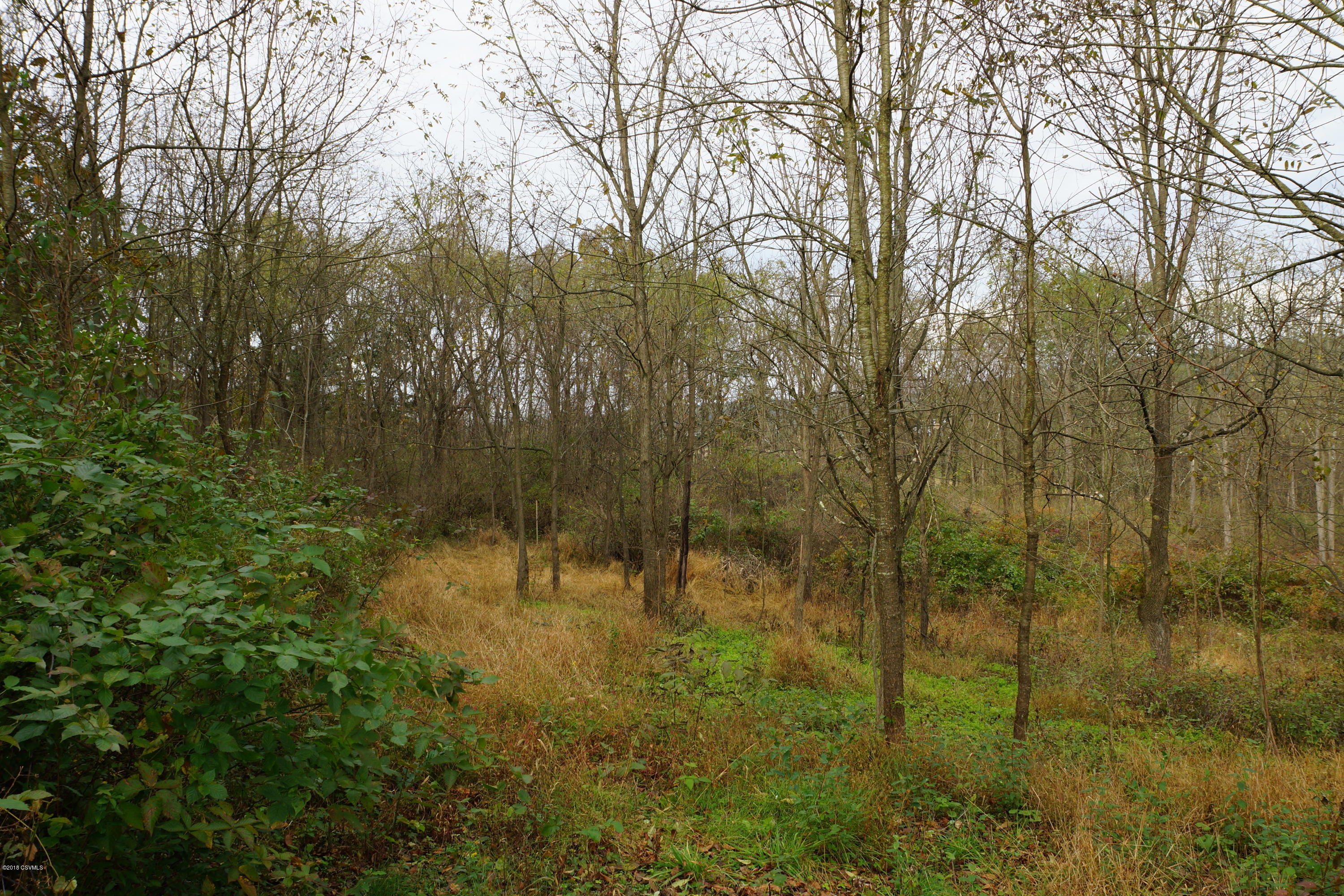 Lot 4 Milroy Road New Columbia, PA 17856 - Photo 10 of 27