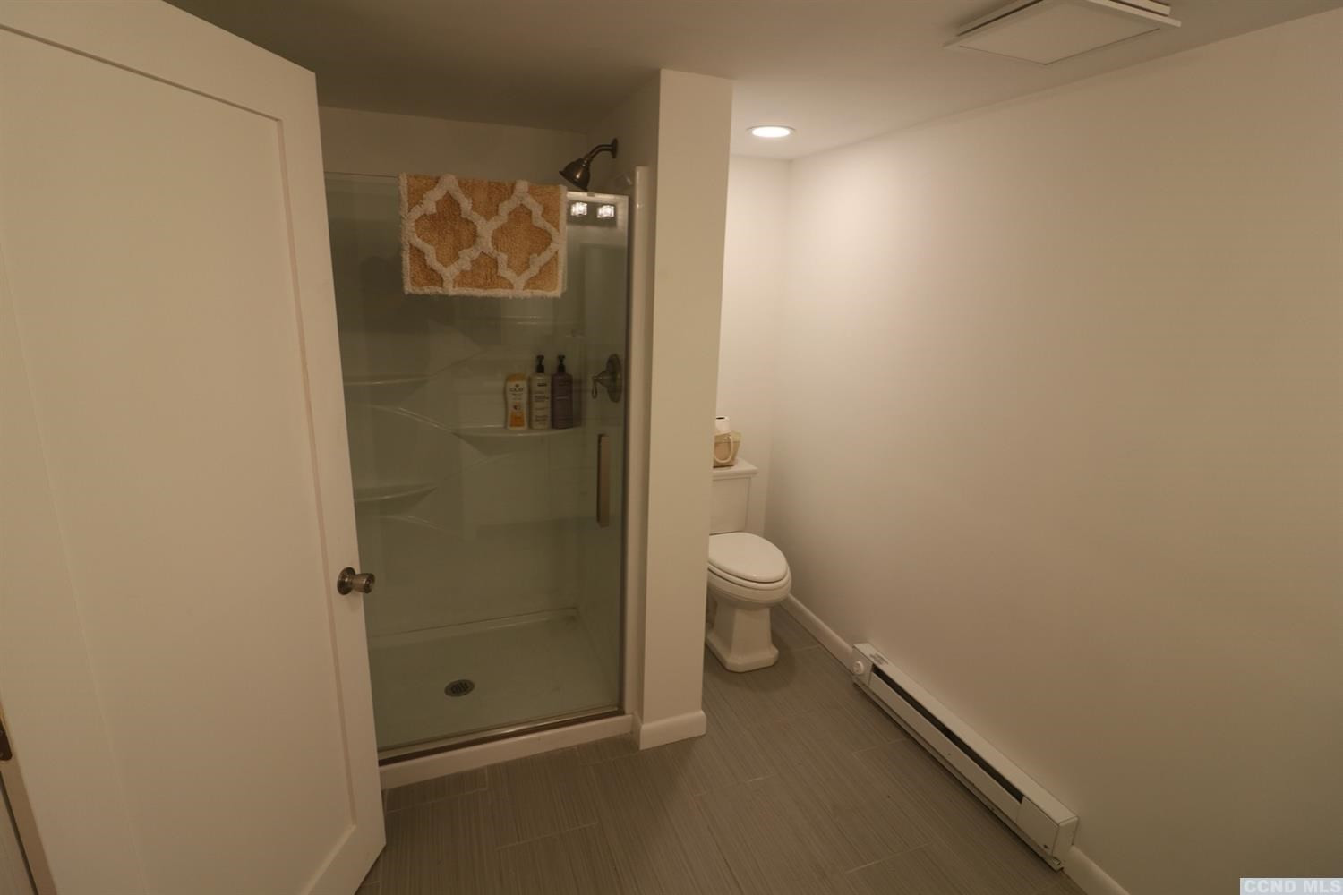 1238 Lakeview Road Copake, NY 12516 - Photo 48 of 54 a bathroom with a toilet and a shower