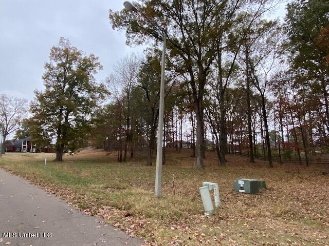 16 Garden Road Southaven, MS 38672 - Photo 13 of 16 IMG_3234