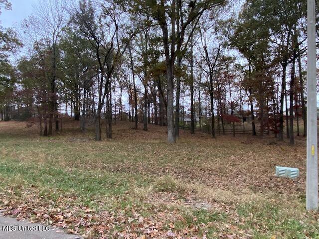 16 Garden Road Southaven, MS 38672 - Photo 14 of 16 IMG_3235