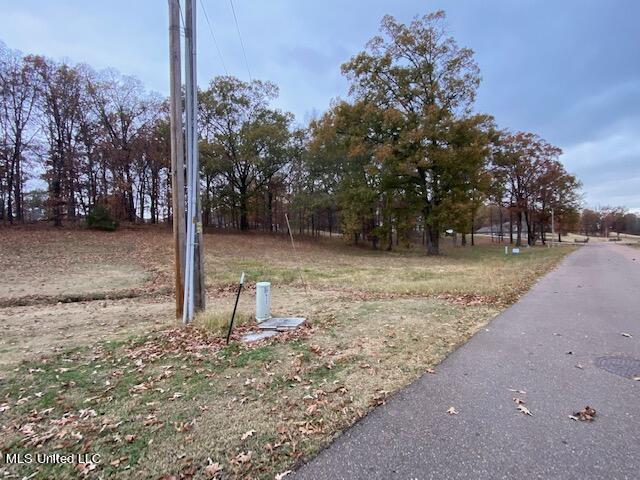 16 Garden Road Southaven, MS 38672 - Photo 15 of 16 IMG_3236