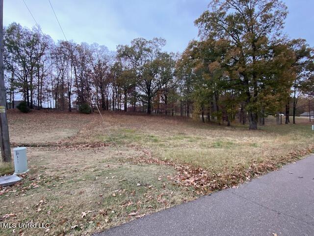 16 Garden Road Southaven, MS 38672 - Photo 16 of 16 IMG_3237