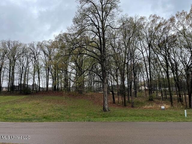 16 Garden Road Southaven, MS 38672 - Photo 2 of 16 IMG_5662