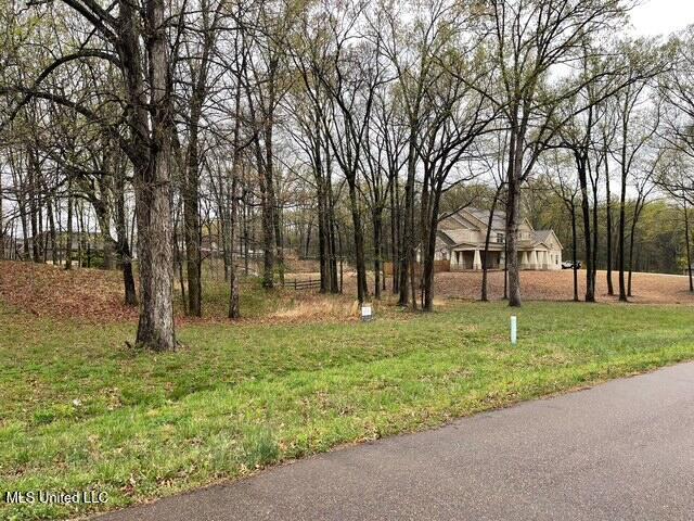 16 Garden Road Southaven, MS 38672 - Photo 7 of 16 IMG_5669