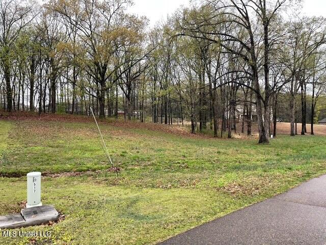 16 Garden Road Southaven, MS 38672 - Photo 8 of 16 IMG_5670