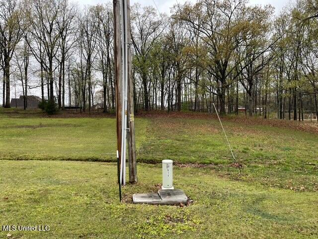 16 Garden Road Southaven, MS 38672 - Photo 10 of 16 IMG_5673