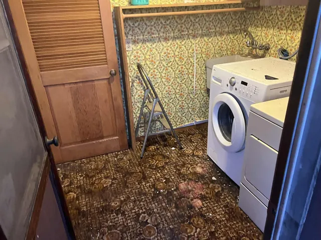 a view of a back yard with plants