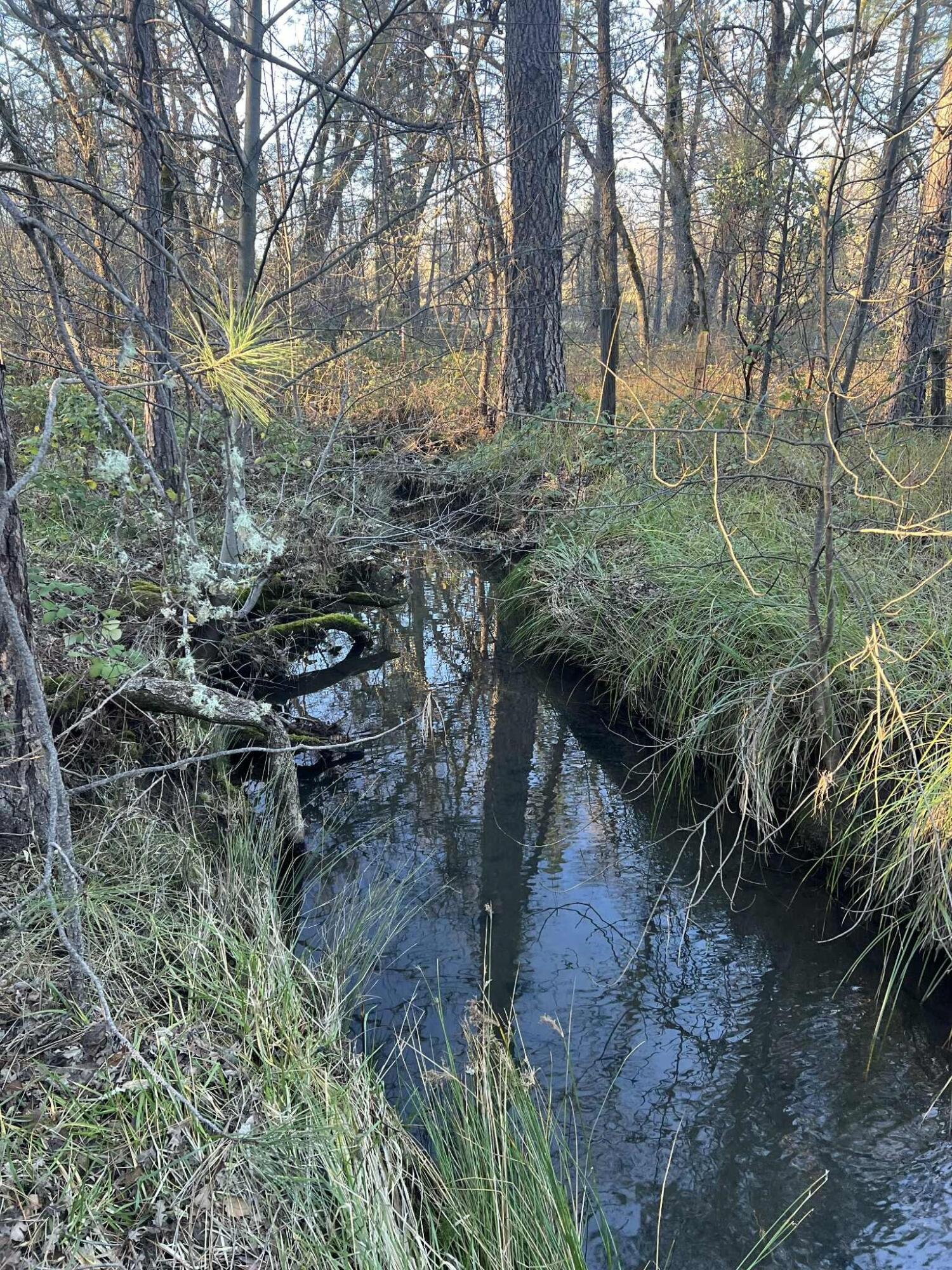 29140 South Cow Creek Road Whitmore, CA 96096 - Photo 39 of 54 CREEK 2