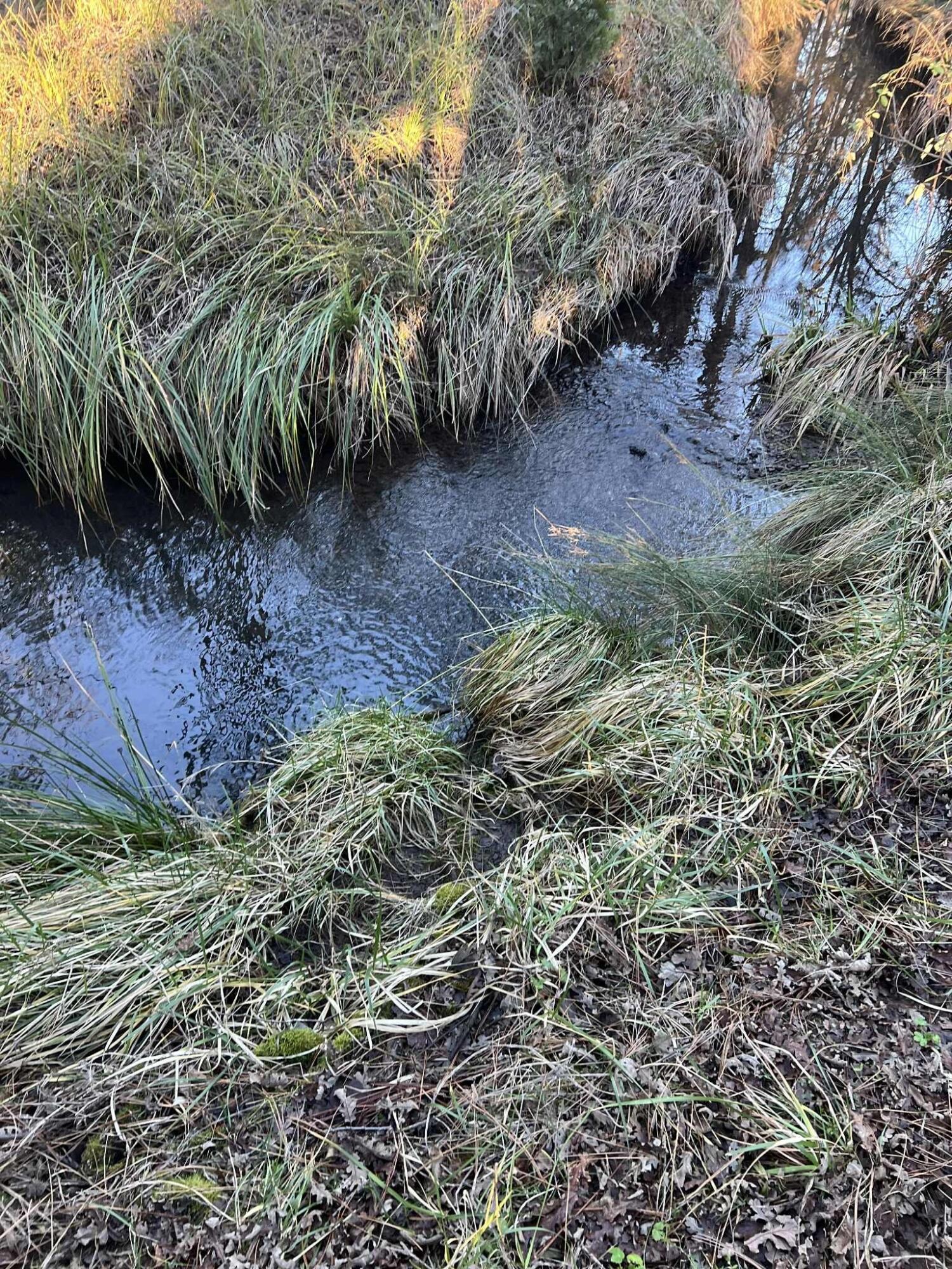 29140 South Cow Creek Road Whitmore, CA 96096 - Photo 41 of 54 CREEK 1