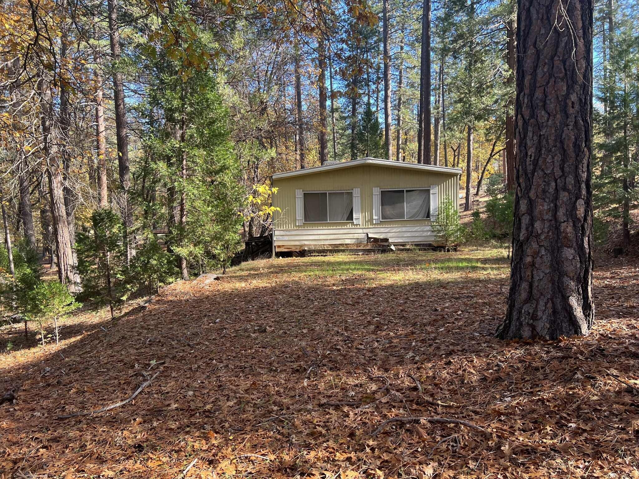 29140 South Cow Creek Road Whitmore, CA 96096 - Photo 42 of 54 WEST SIDE OF MOBILE