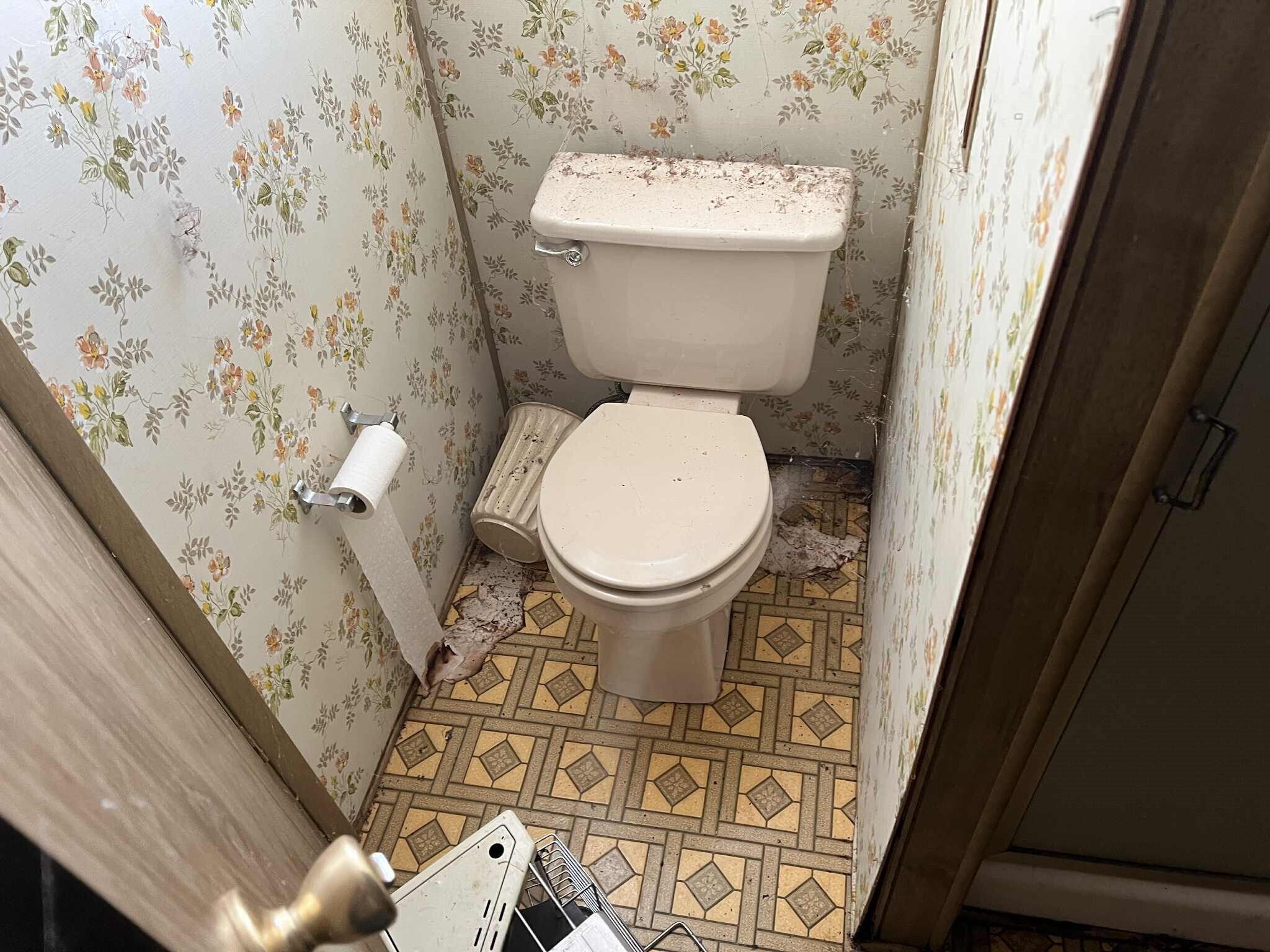 29140 South Cow Creek Road Whitmore, CA 96096 - Photo 50 of 54 BATH 1 MOBILE