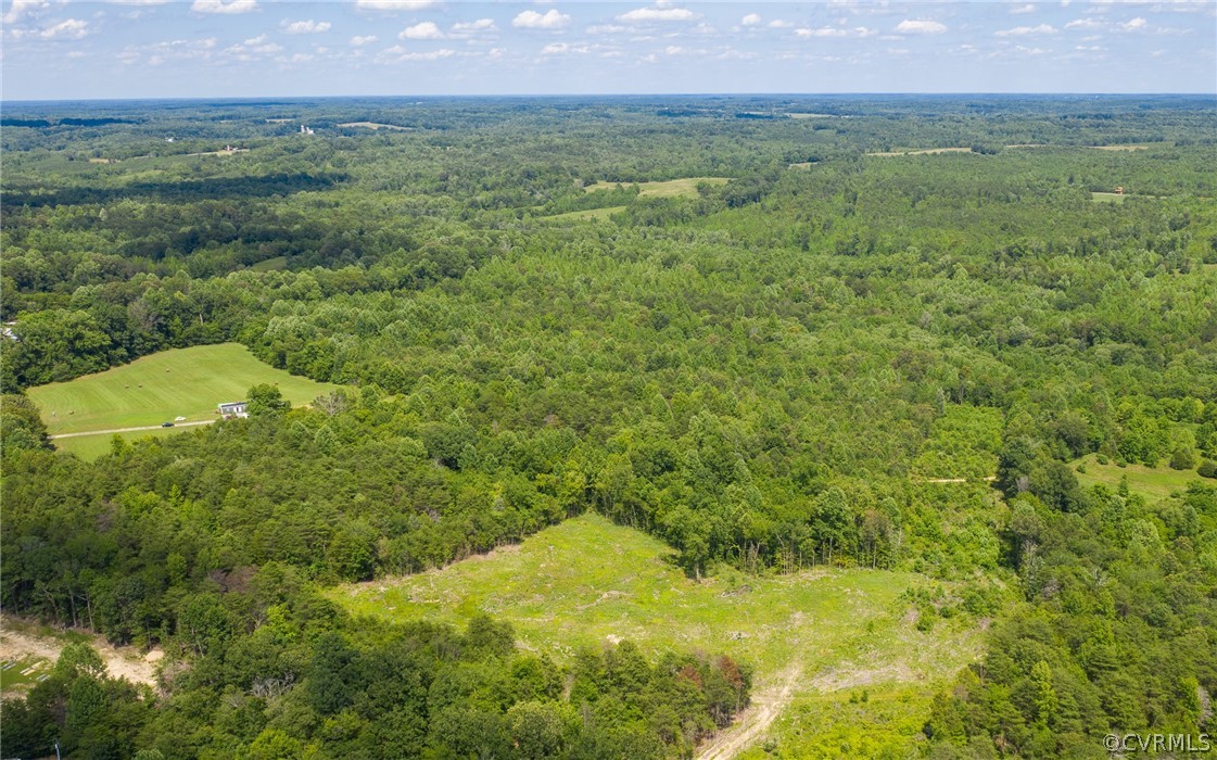 2616 Lockett Road Rice, VA 23966 - Photo 40 of 46