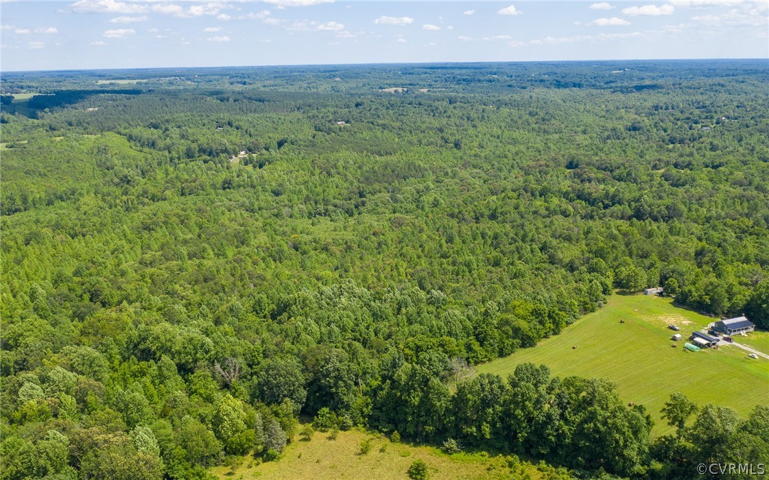 2616 Lockett Road Rice, VA 23966 - Photo 41 of 46