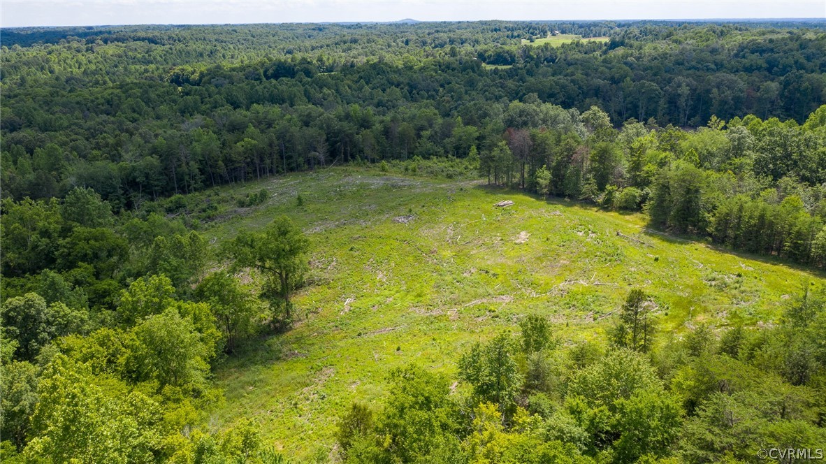 2616 Lockett Road Rice, VA 23966 - Photo 42 of 46