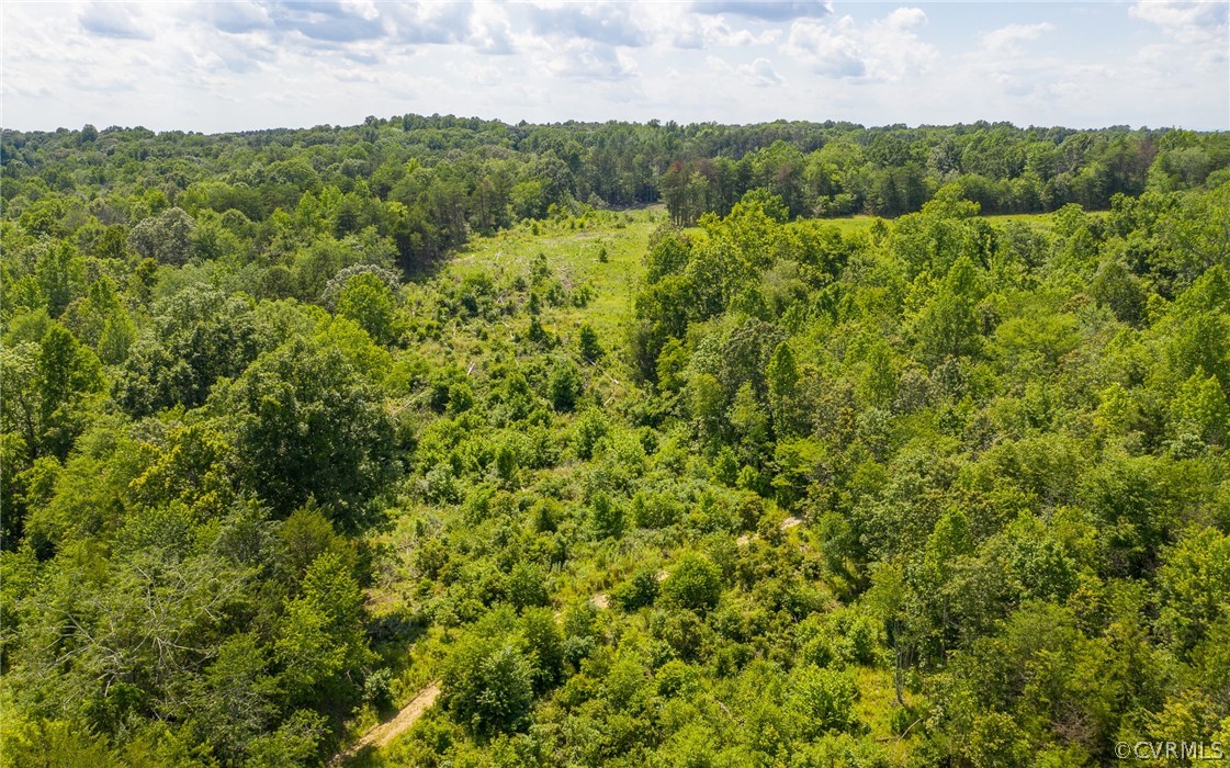 2616 Lockett Road Rice, VA 23966 - Photo 43 of 46