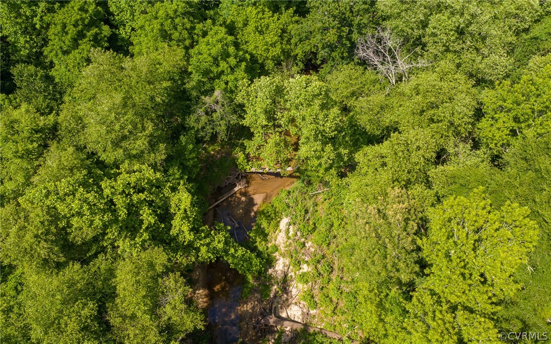 2616 Lockett Road Rice, VA 23966 - Photo 44 of 46