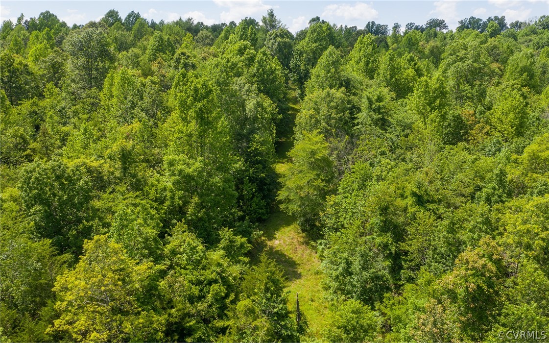 2616 Lockett Road Rice, VA 23966 - Photo 46 of 46