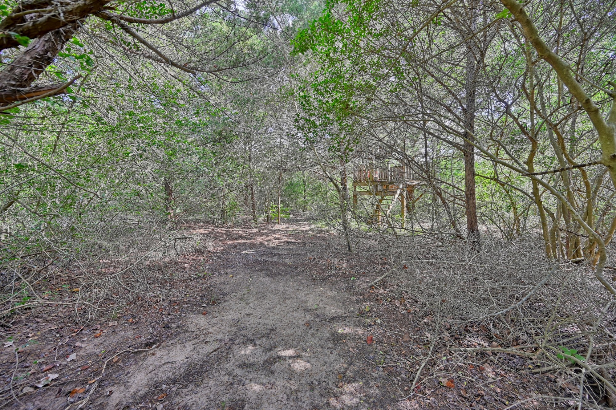 1205 Pecan Glen Road Brenham, TX 77833 - Photo 23 of 40 leading to a treehouse!