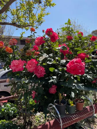 $2,800 | 3579 Agate Drive, Unit 6, Santa Clara, CA 95051