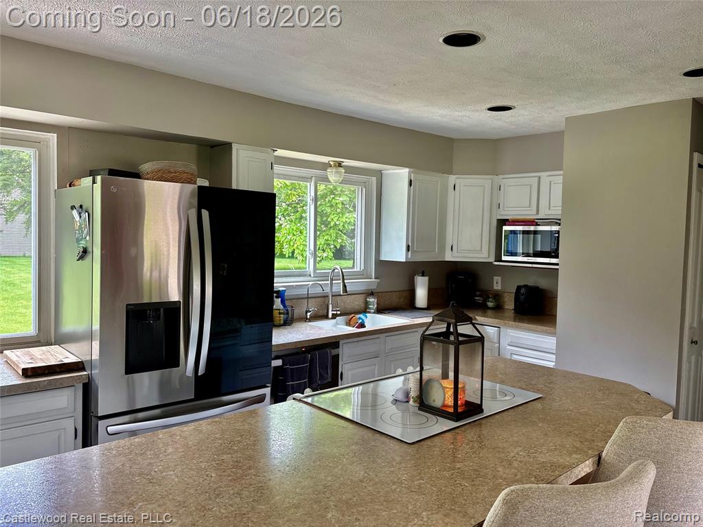 1209 Bay Ridge Drive Highland, MI 48356 - Photo 10 of 32