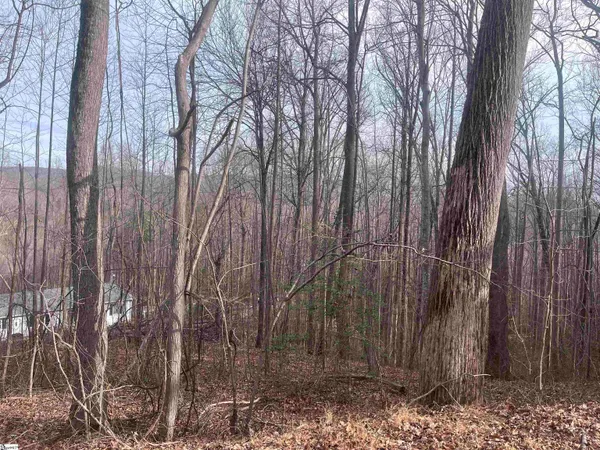 $41,000 | 0 Wildflower Lane, Travelers Rest, SC 29690