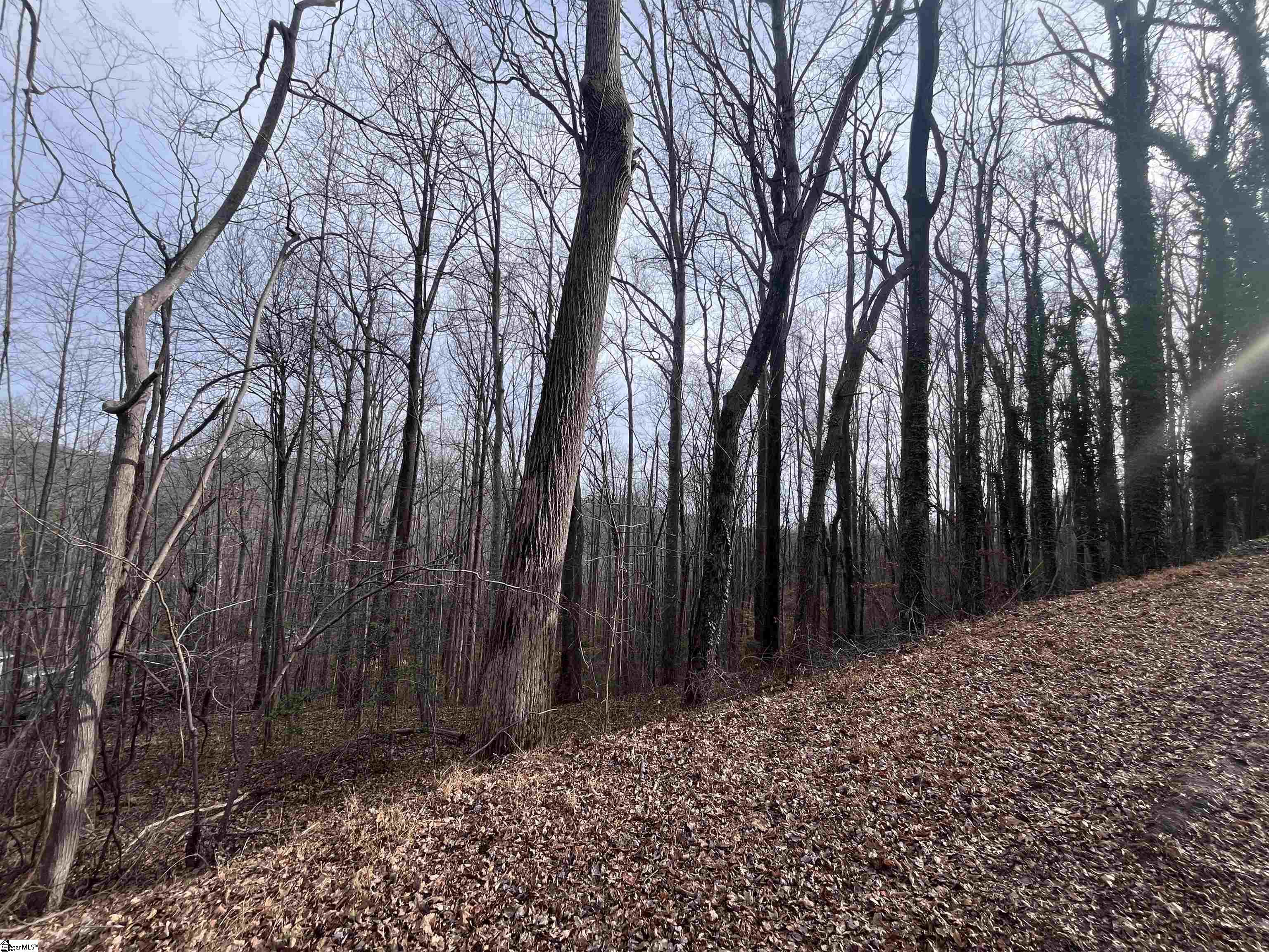 0 Wildflower Lane Travelers Rest, SC 29690 - Photo 3 of 8