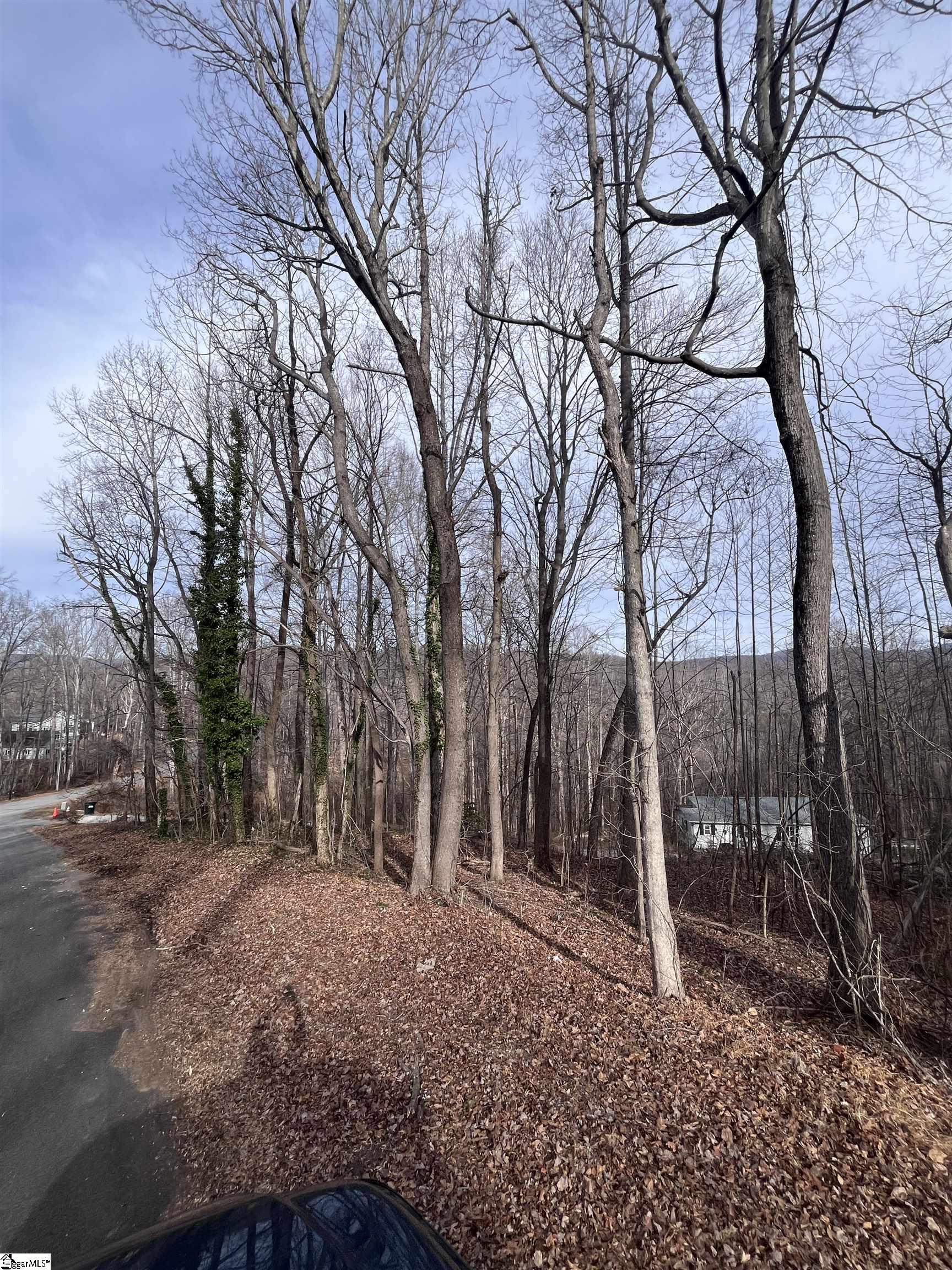 0 Wildflower Lane Travelers Rest, SC 29690 - Photo 4 of 8