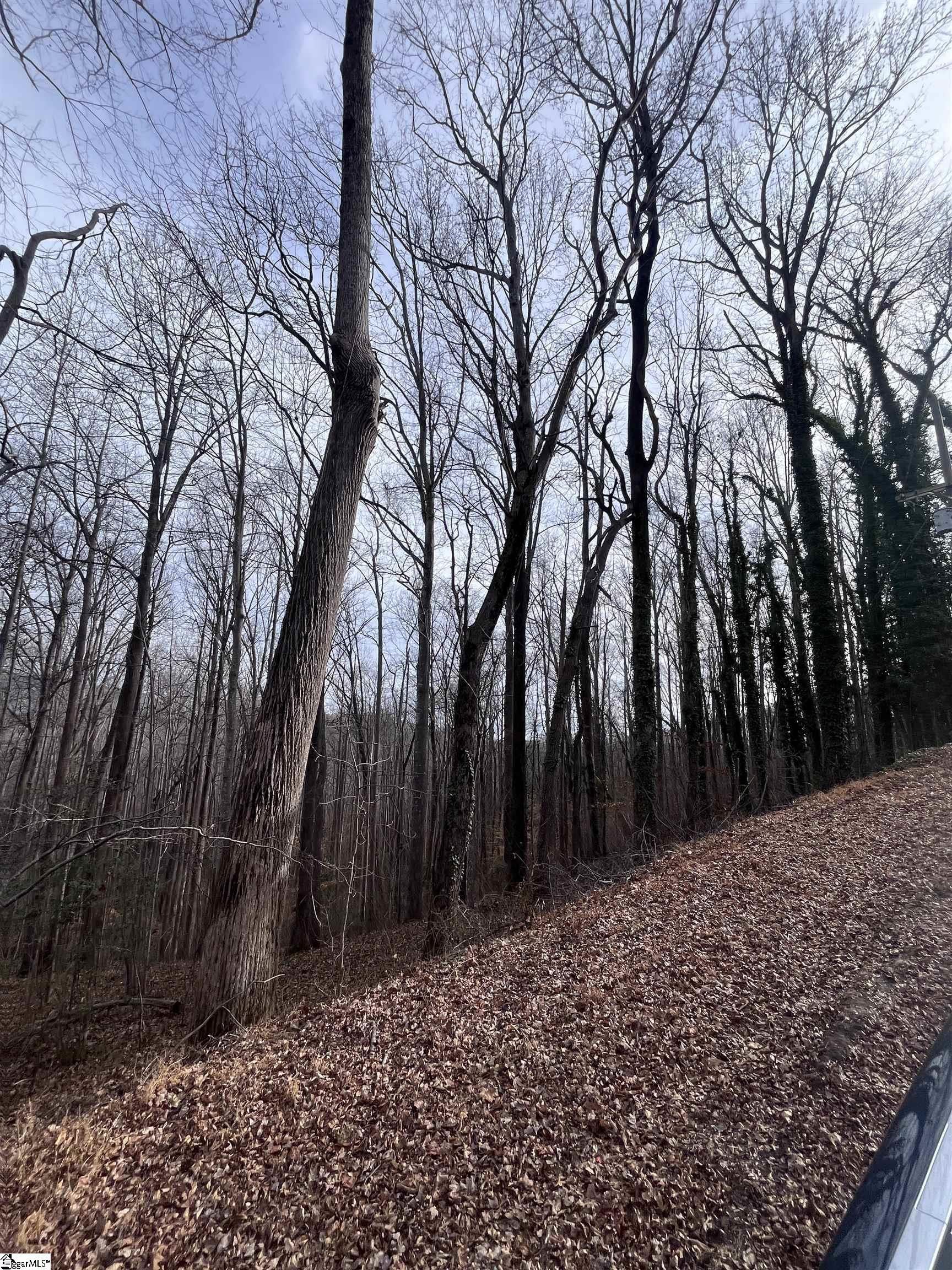 0 Wildflower Lane Travelers Rest, SC 29690 - Photo 5 of 8