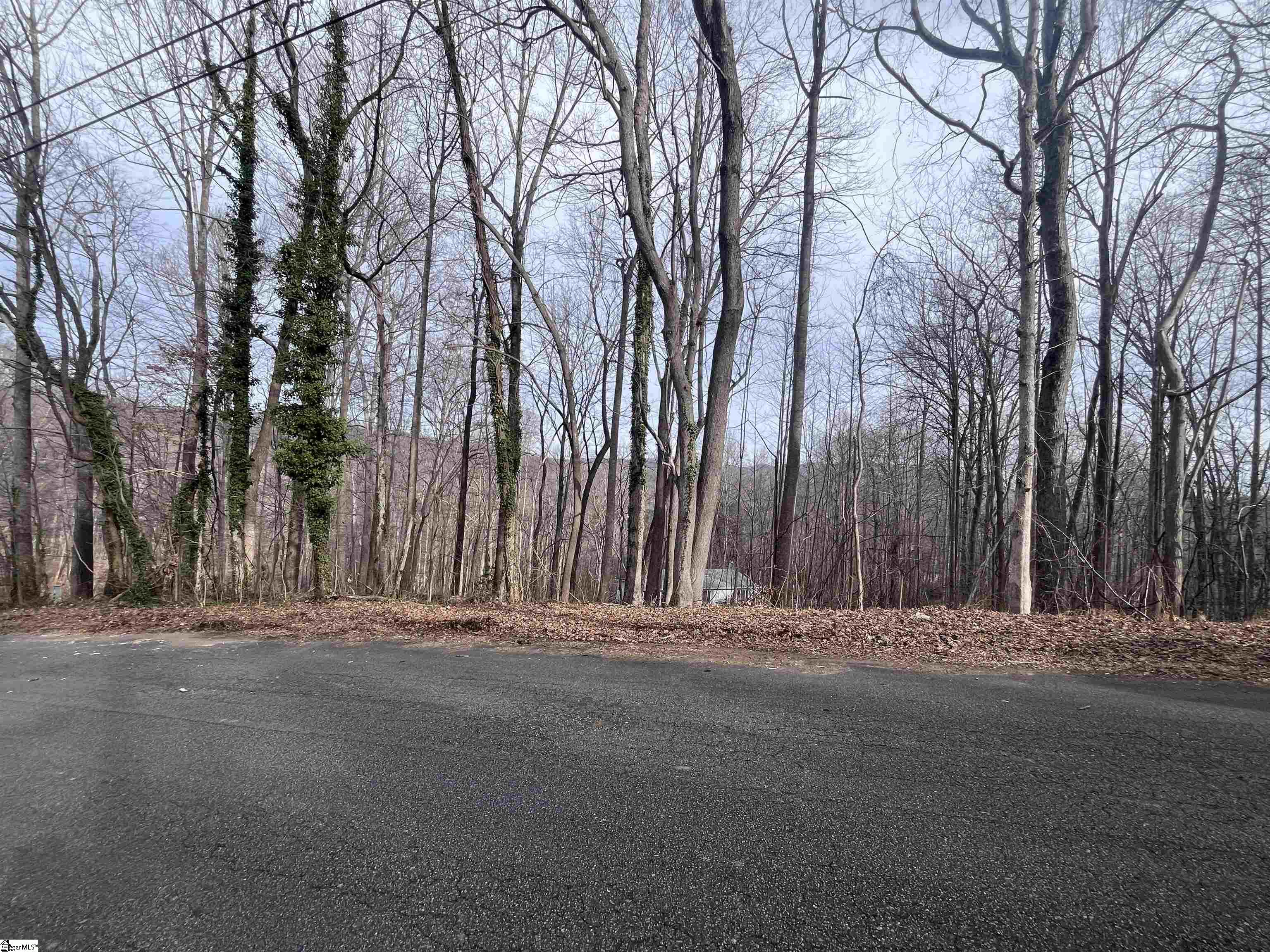 0 Wildflower Lane Travelers Rest, SC 29690 - Photo 6 of 8