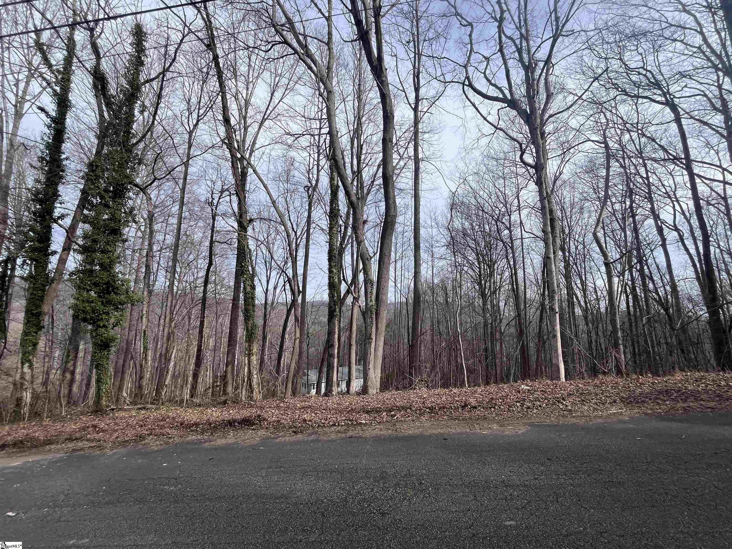 0 Wildflower Lane Travelers Rest, SC 29690 - Photo 7 of 8